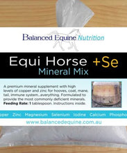 Load image into Gallery viewer, Equi Horse + Se
