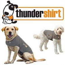 Load image into Gallery viewer, Thundershirt
