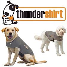 Thundershirt