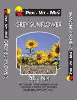 Grey Sunflower