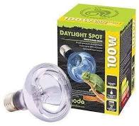 Neodymium Daylight Bulb