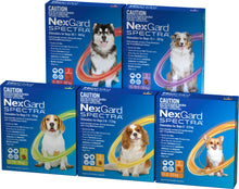 Load image into Gallery viewer, NexGard Spectra for Dogs 7.6-15kg (3 pack)
