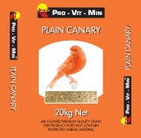 Plain Canary